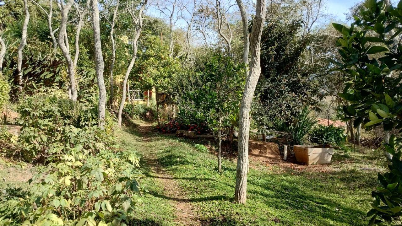 Ecohousing Gaia Terranova Hospedagem Eco Pet Friendly Piranguinho Eksteriør bilde